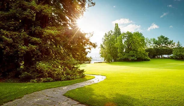 🌿 The State of Landscape Architecture in Kenya: Trends & Innovations