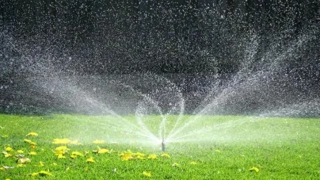Landscape Irrigation
