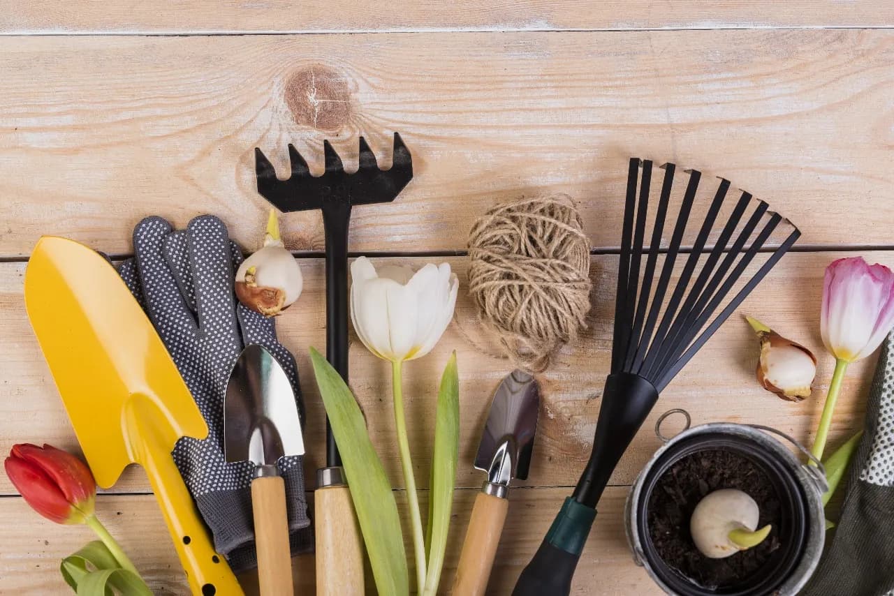 Landscape Supplies & Products